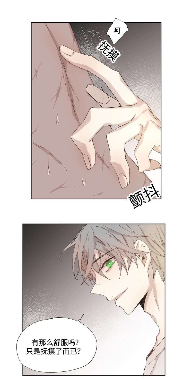 《巫师与狼》漫画最新章节第37话免费下拉式在线观看章节第【3】张图片