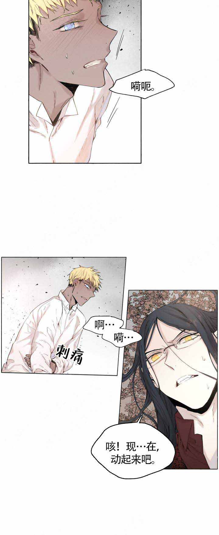 《巫师与狼》漫画最新章节第49话免费下拉式在线观看章节第【11】张图片