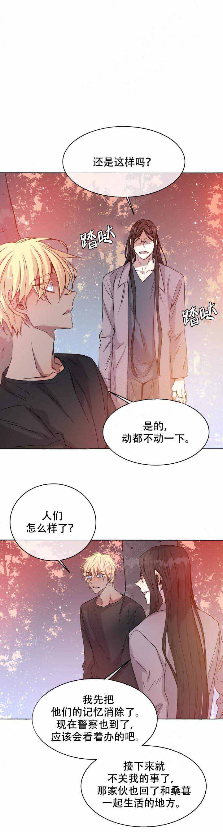 《巫师与狼》漫画最新章节第89话免费下拉式在线观看章节第【5】张图片