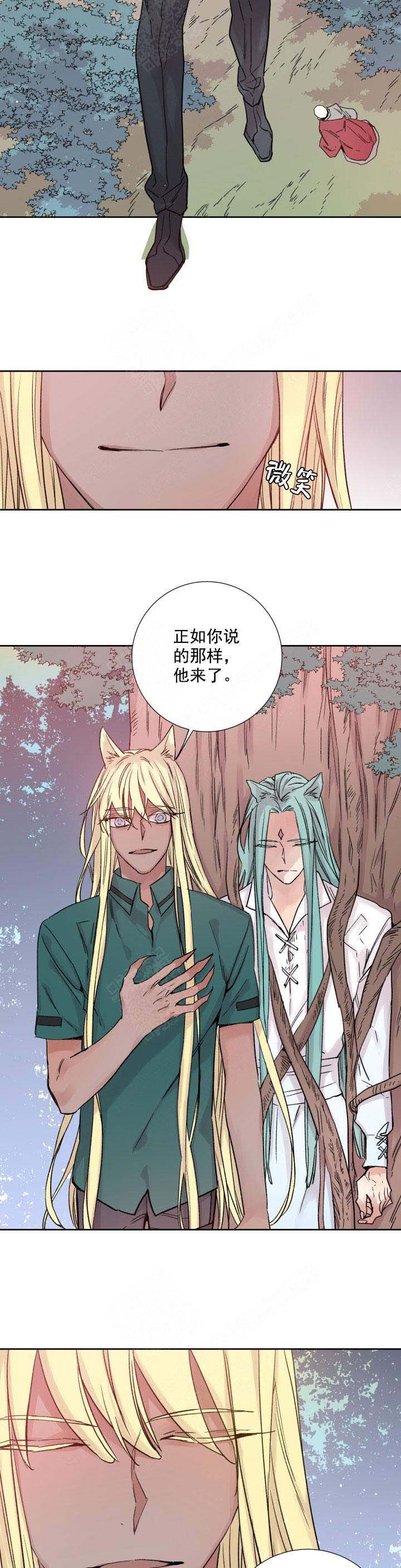 《巫师与狼》漫画最新章节第118话免费下拉式在线观看章节第【2】张图片