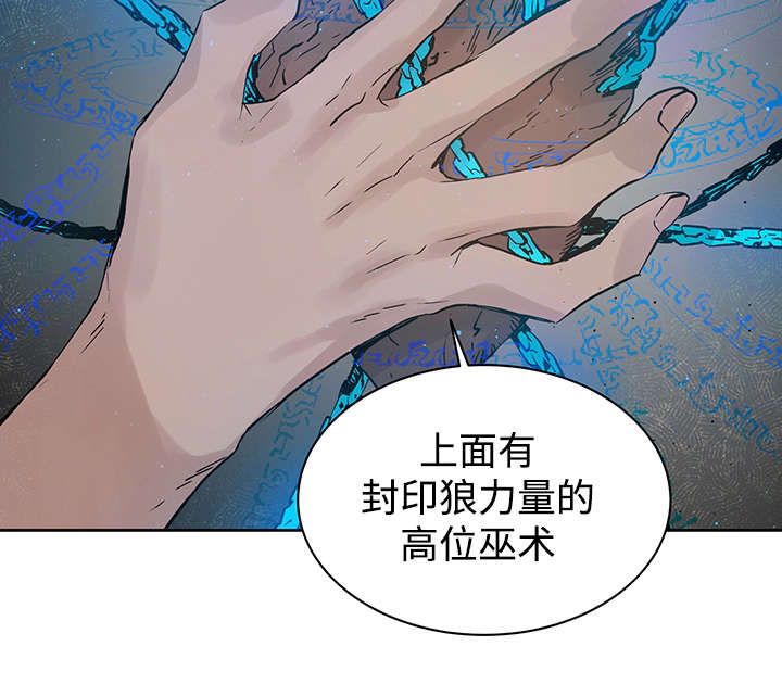 《巫师与狼》漫画最新章节第8话免费下拉式在线观看章节第【2】张图片