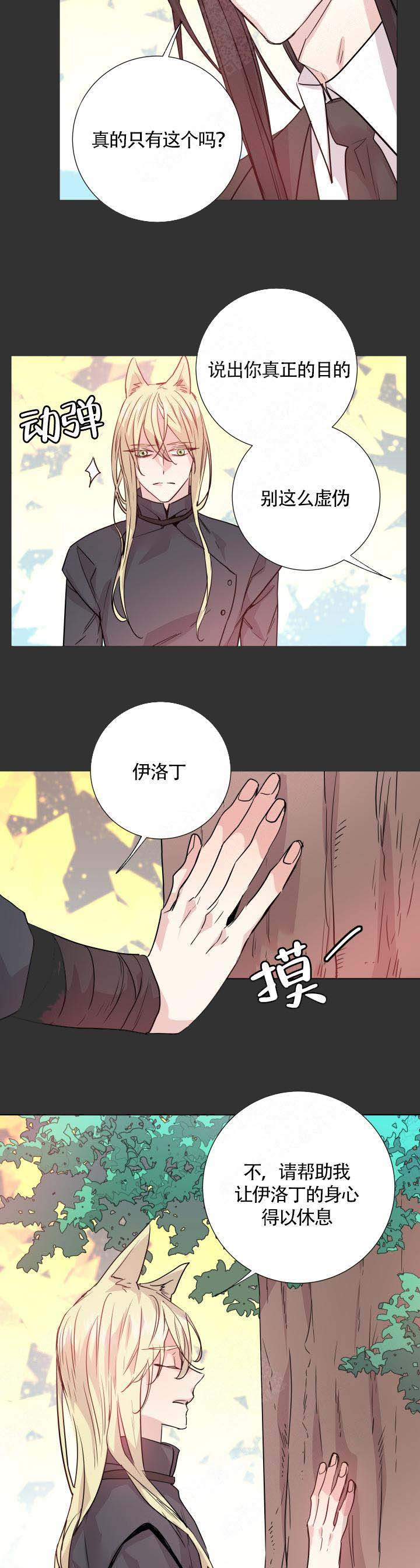 《巫师与狼》漫画最新章节第111话免费下拉式在线观看章节第【5】张图片