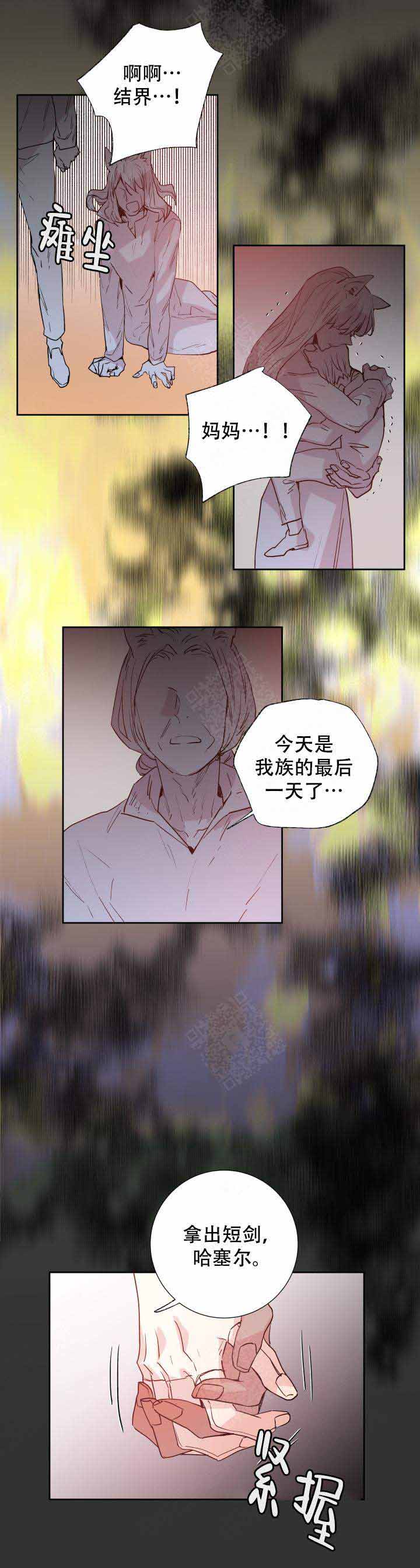 《巫师与狼》漫画最新章节第107话免费下拉式在线观看章节第【15】张图片