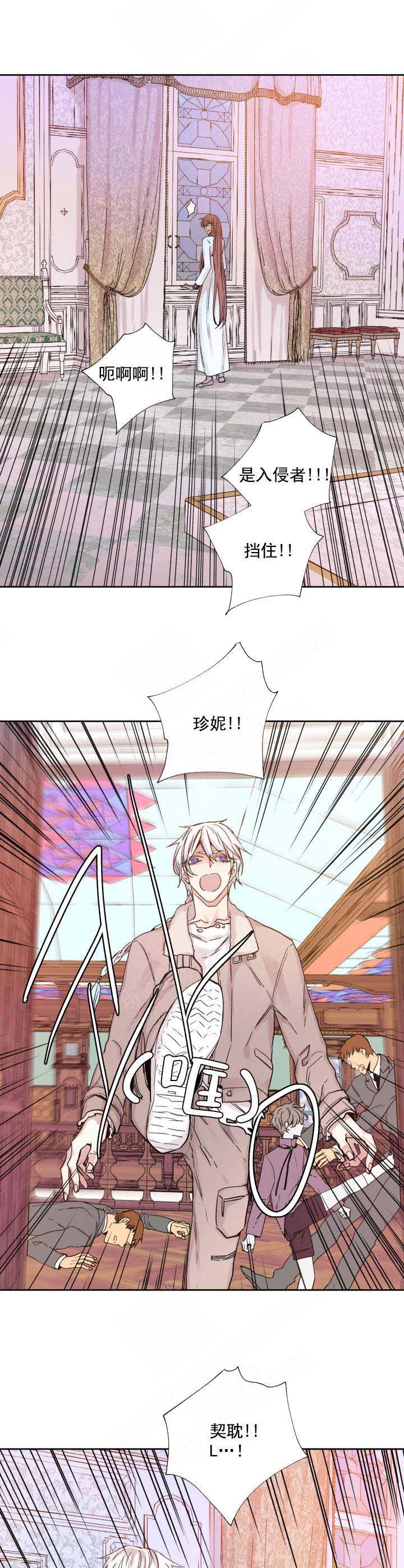 《巫师与狼》漫画最新章节第117话免费下拉式在线观看章节第【10】张图片