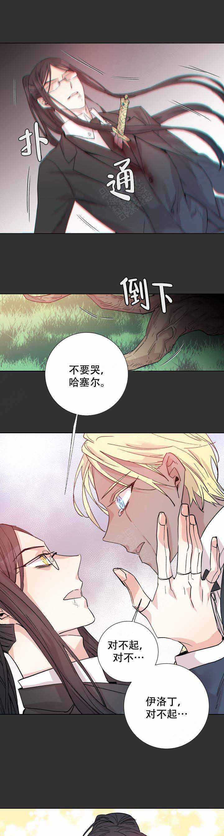 《巫师与狼》漫画最新章节第108话免费下拉式在线观看章节第【4】张图片