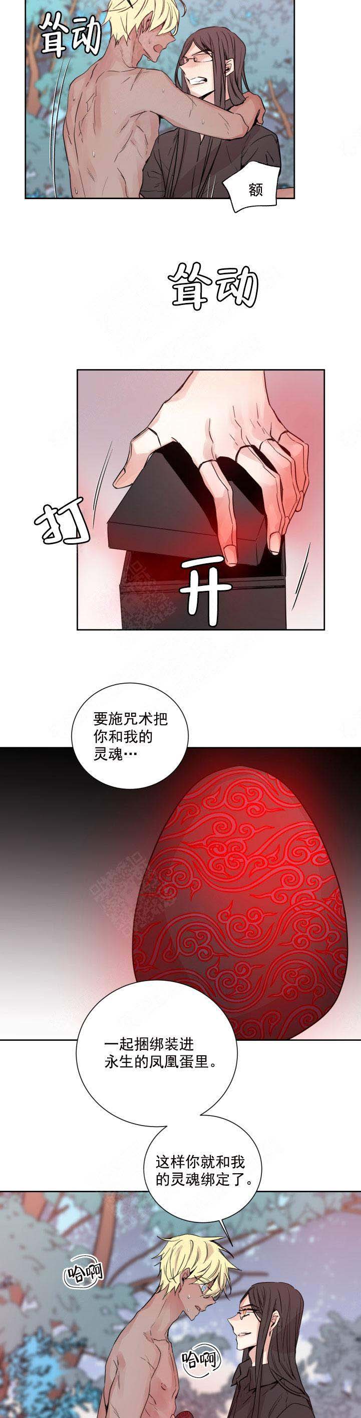 《巫师与狼》漫画最新章节第122话免费下拉式在线观看章节第【8】张图片