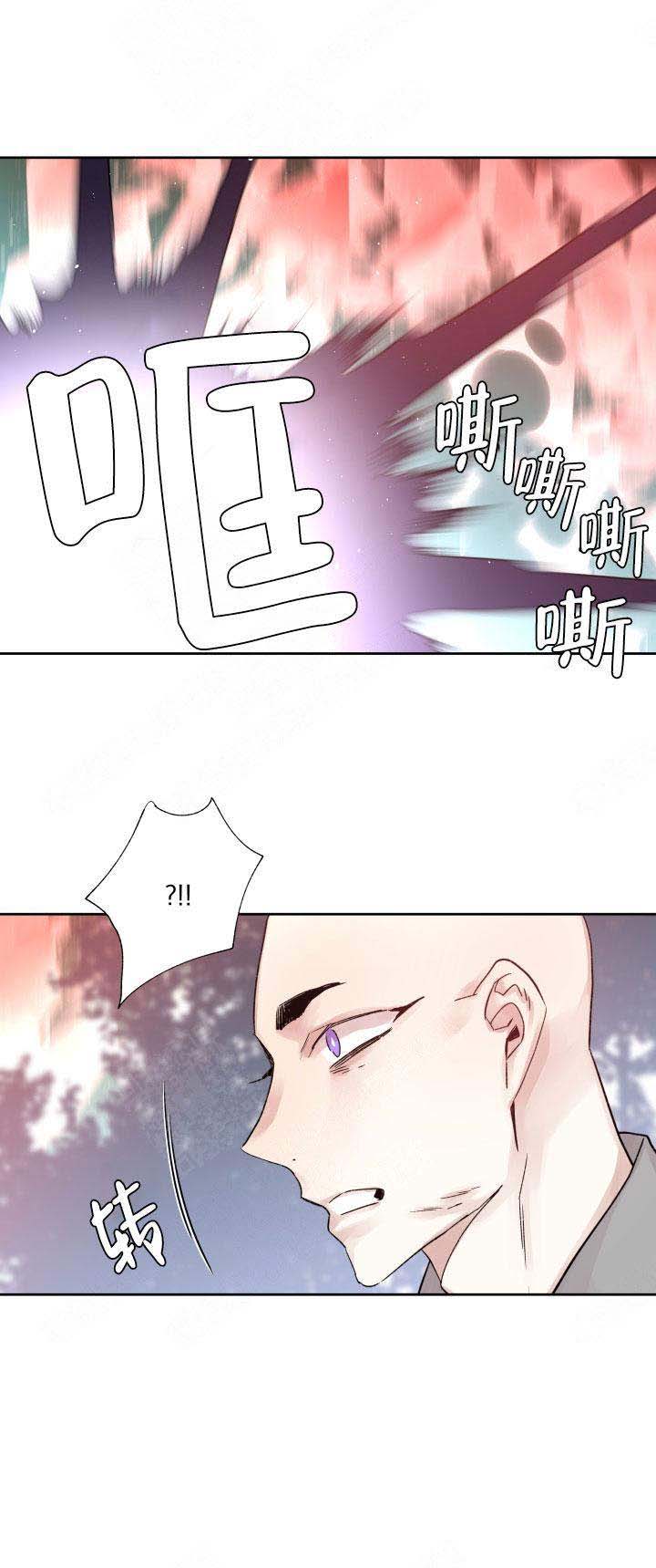 《巫师与狼》漫画最新章节第117话免费下拉式在线观看章节第【13】张图片