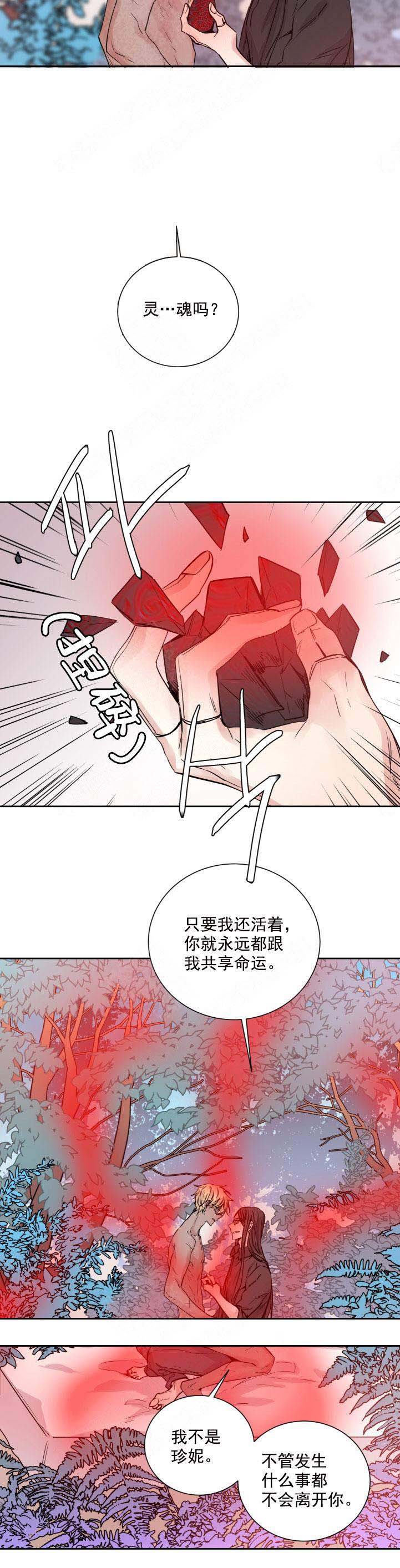 《巫师与狼》漫画最新章节第122话免费下拉式在线观看章节第【9】张图片