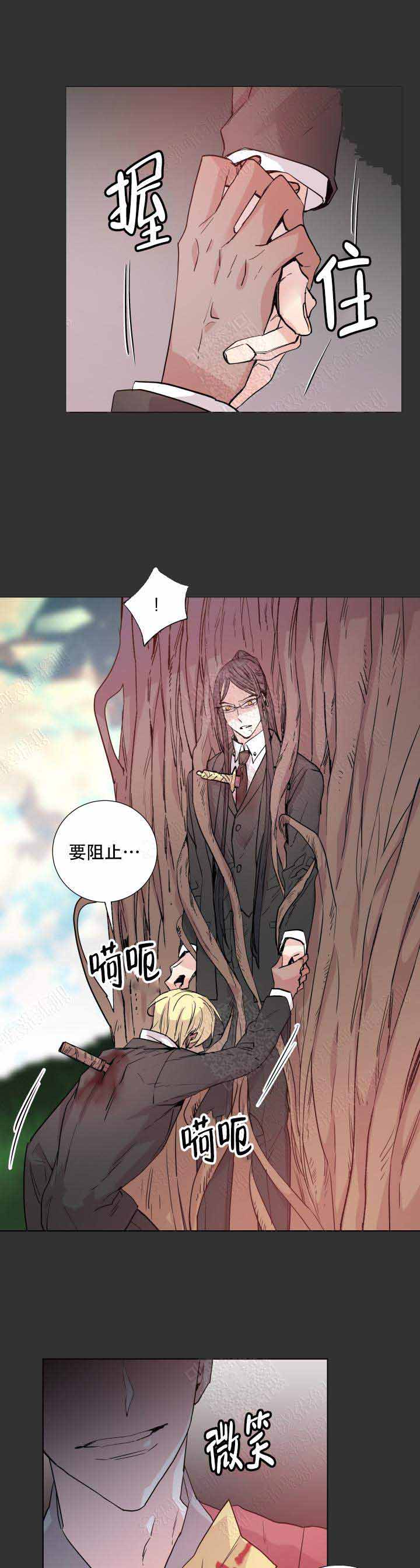 《巫师与狼》漫画最新章节第109话免费下拉式在线观看章节第【7】张图片