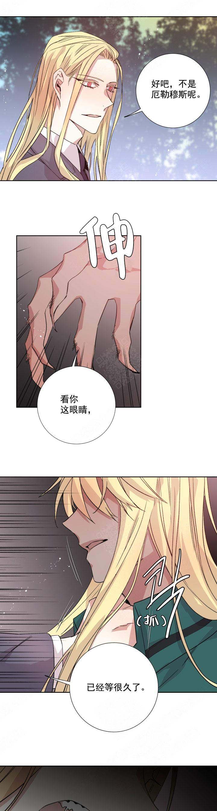 《巫师与狼》漫画最新章节第116话免费下拉式在线观看章节第【11】张图片