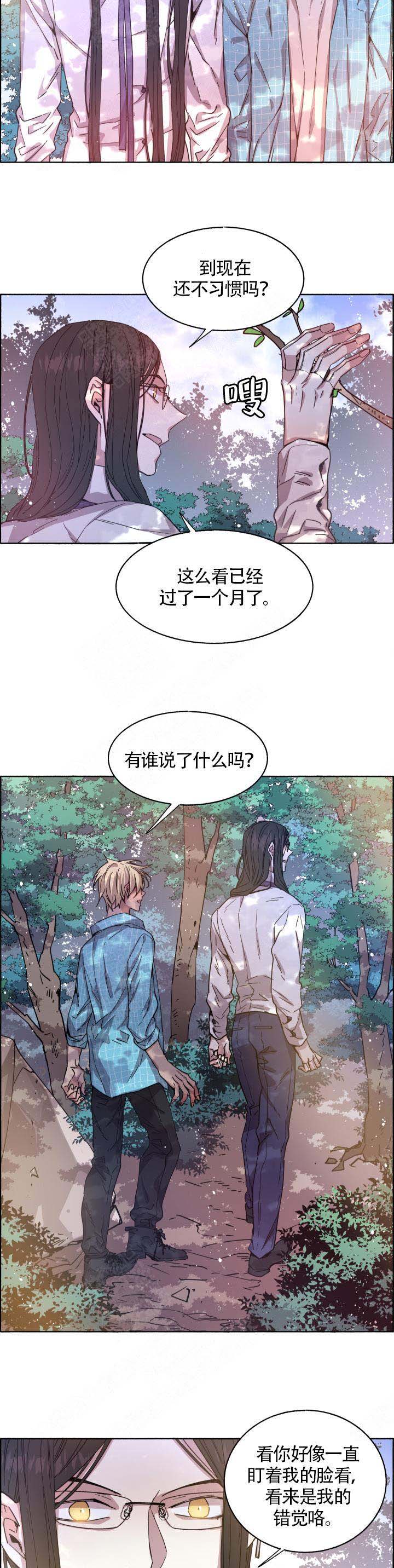 《巫师与狼》漫画最新章节第73话免费下拉式在线观看章节第【8】张图片