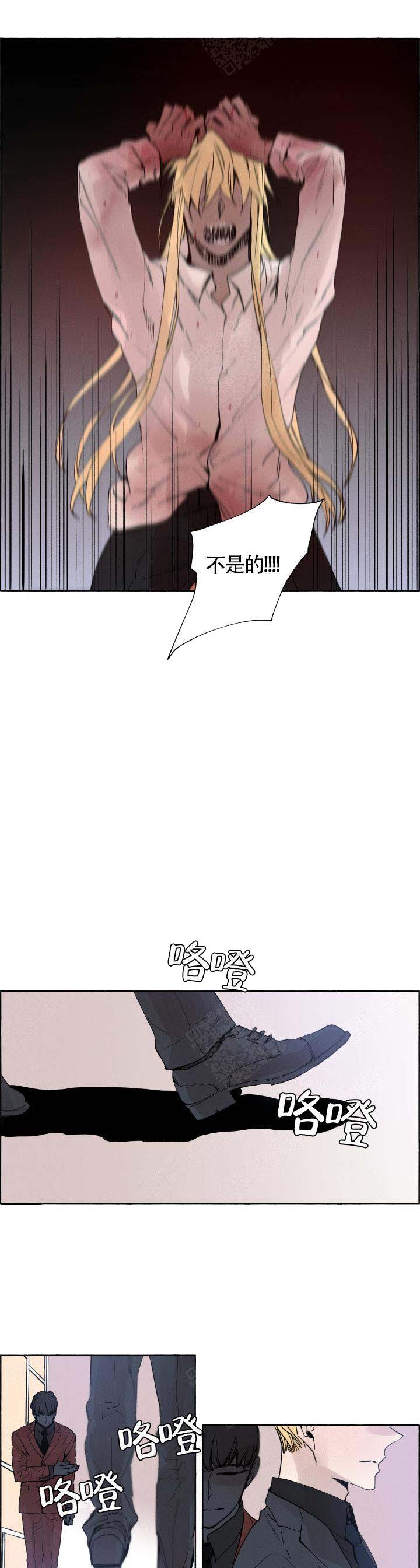 《巫师与狼》漫画最新章节第62话免费下拉式在线观看章节第【4】张图片