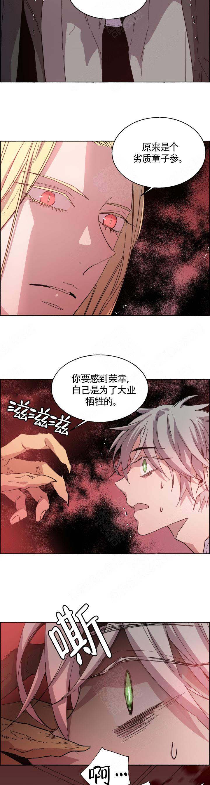 《巫师与狼》漫画最新章节第73话免费下拉式在线观看章节第【5】张图片