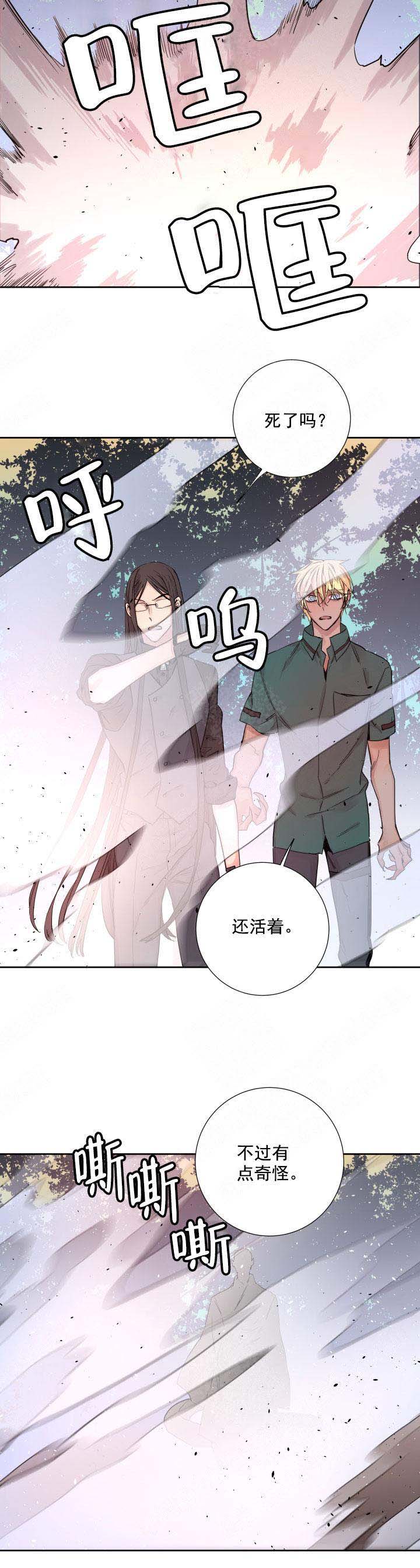 《巫师与狼》漫画最新章节第119话免费下拉式在线观看章节第【6】张图片