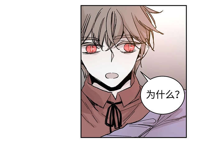 《巫师与狼》漫画最新章节第20话免费下拉式在线观看章节第【7】张图片