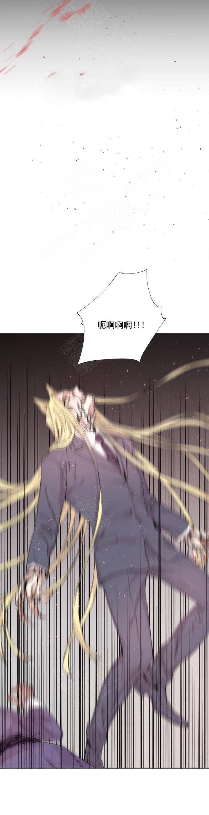 《巫师与狼》漫画最新章节第119话免费下拉式在线观看章节第【3】张图片