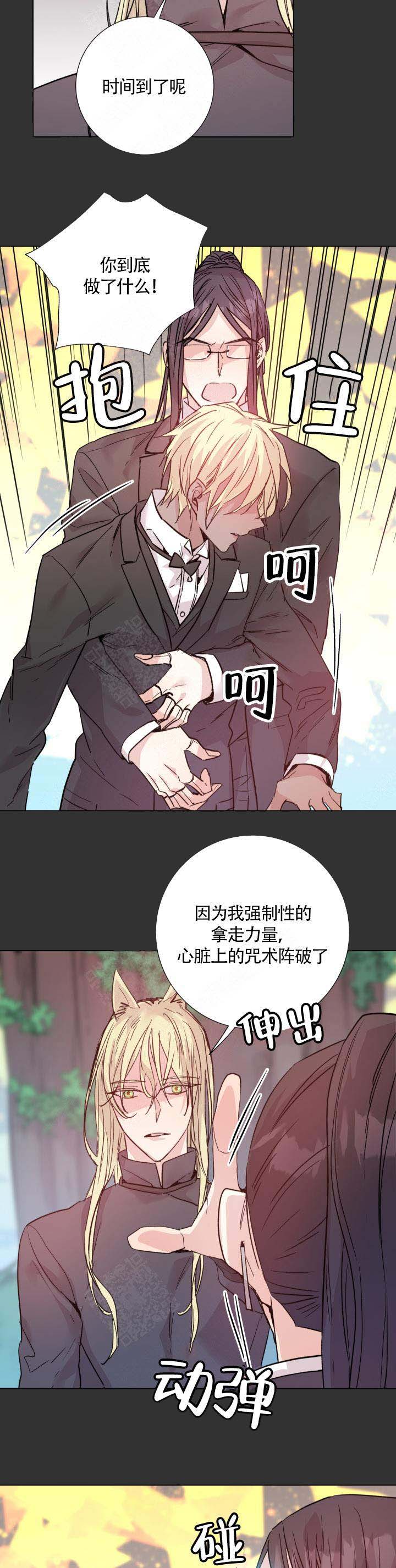 《巫师与狼》漫画最新章节第111话免费下拉式在线观看章节第【11】张图片