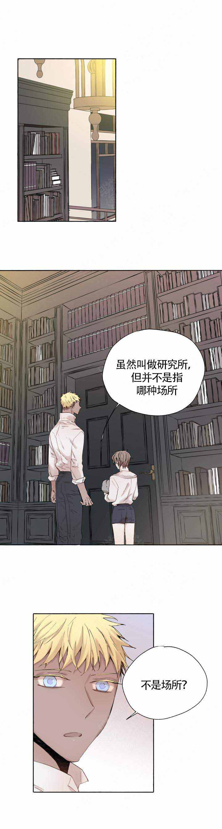 《巫师与狼》漫画最新章节第47话免费下拉式在线观看章节第【9】张图片