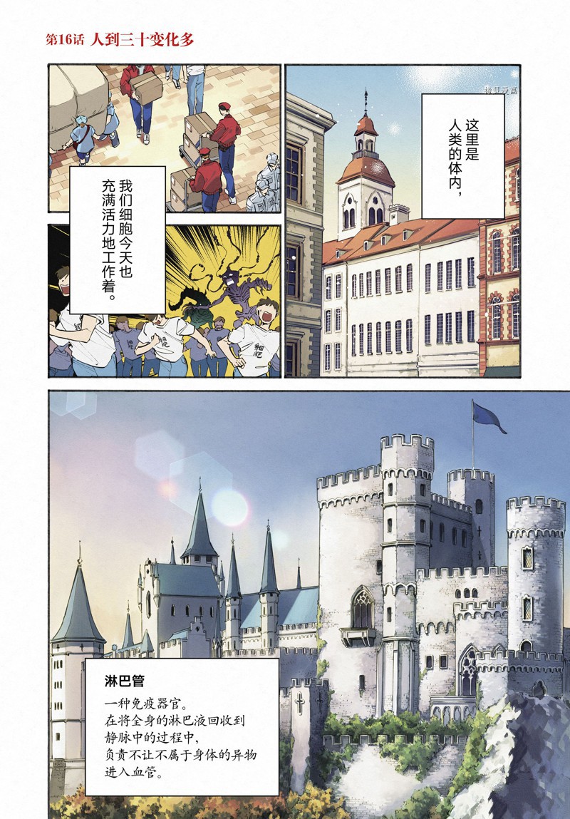 《工作细胞lady》漫画最新章节第16话免费下拉式在线观看章节第【4】张图片