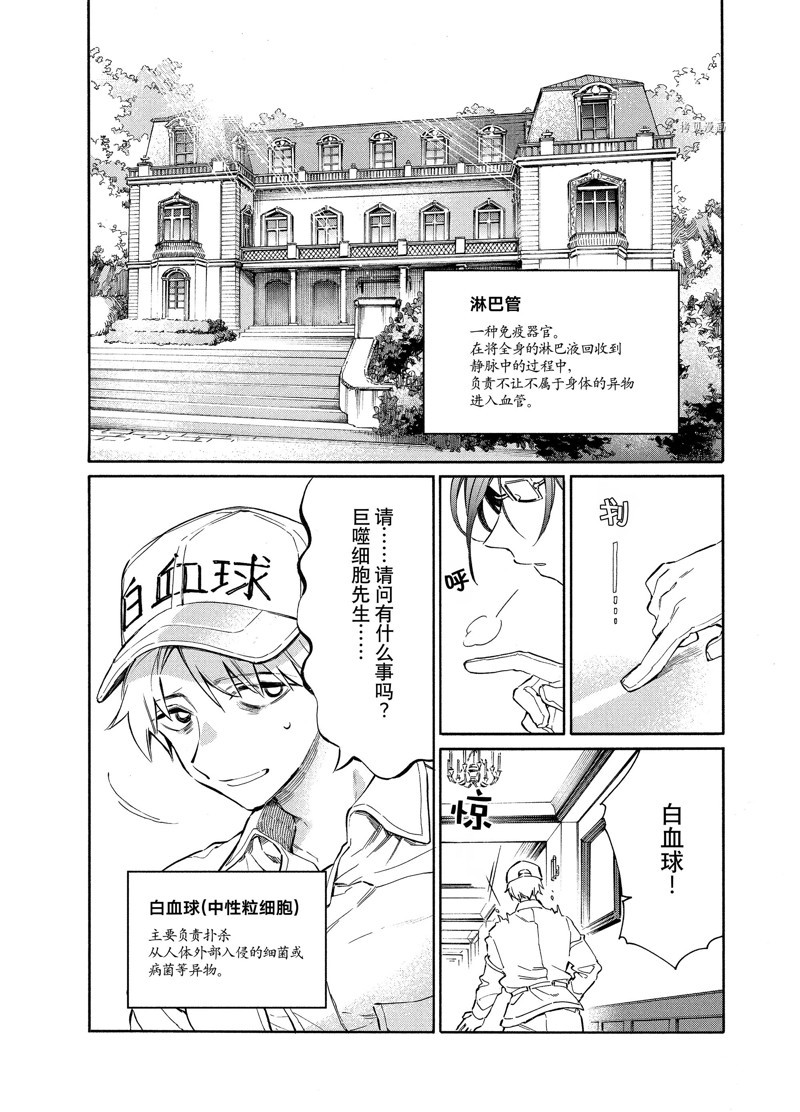 《工作细胞lady》漫画最新章节第1话免费下拉式在线观看章节第【9】张图片