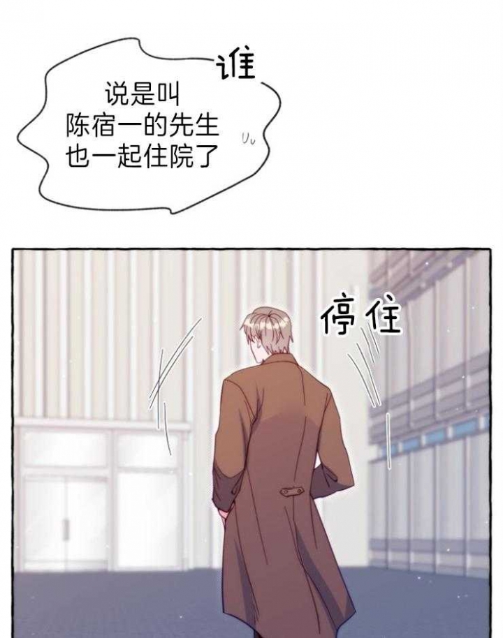 《这里禁止偷拍》漫画最新章节第53话免费下拉式在线观看章节第【34】张图片