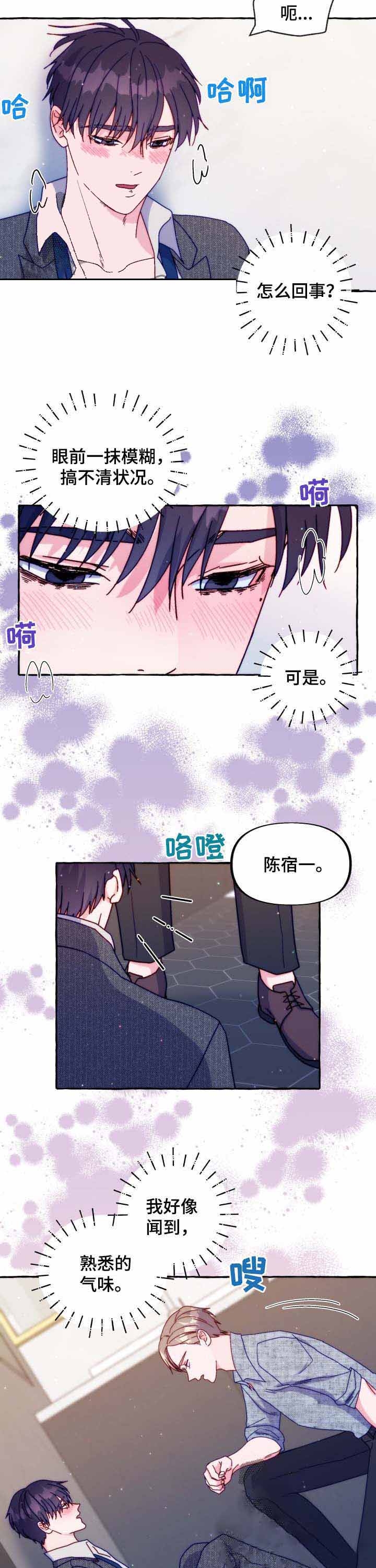 《这里禁止偷拍》漫画最新章节第41话免费下拉式在线观看章节第【3】张图片