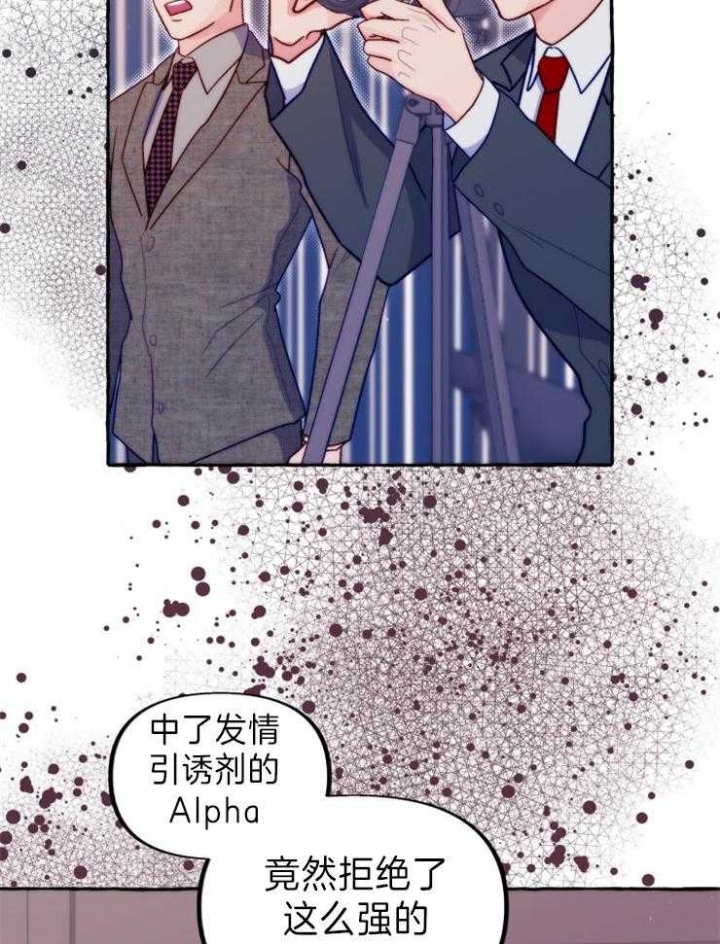 《这里禁止偷拍》漫画最新章节第49话免费下拉式在线观看章节第【4】张图片