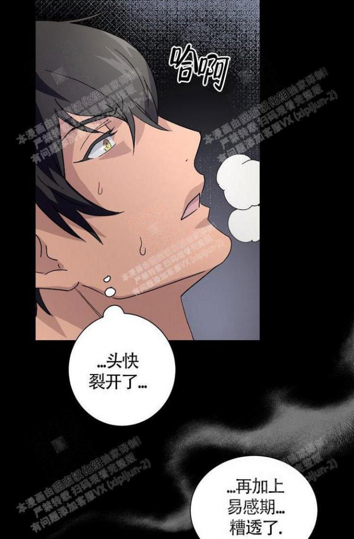 《成为阿尔法的方法》漫画最新章节第9话免费下拉式在线观看章节第【13】张图片