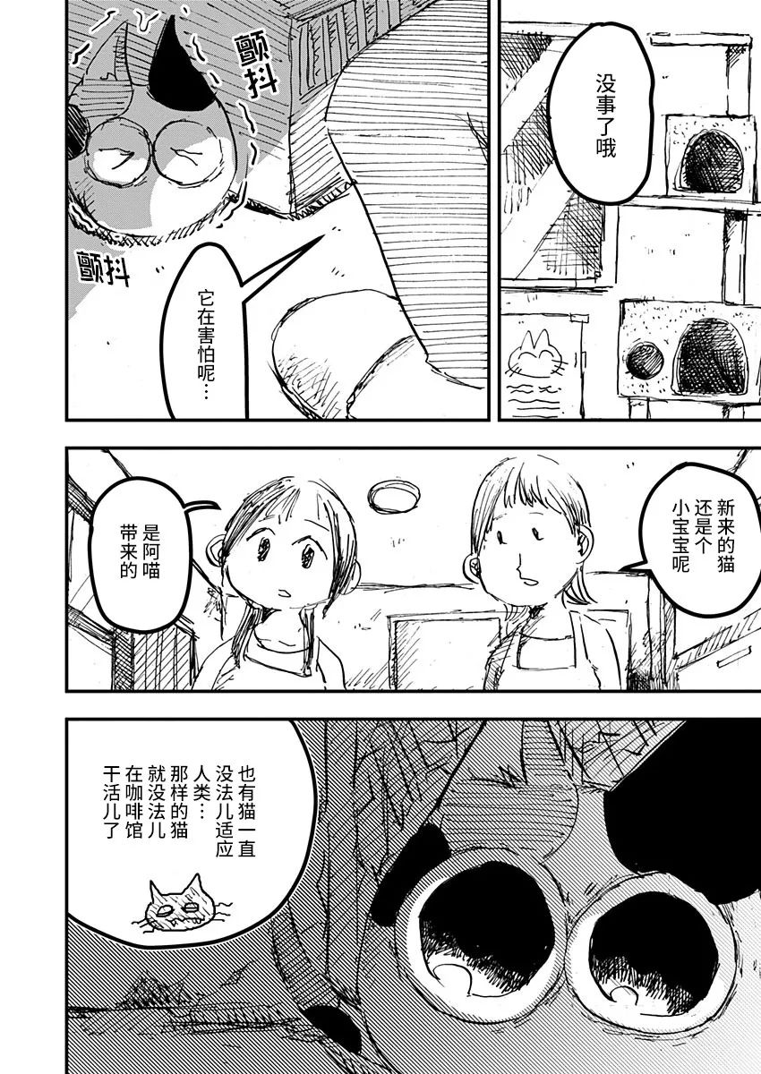 《黑猫小小的一生》漫画最新章节第19话免费下拉式在线观看章节第【16】张图片