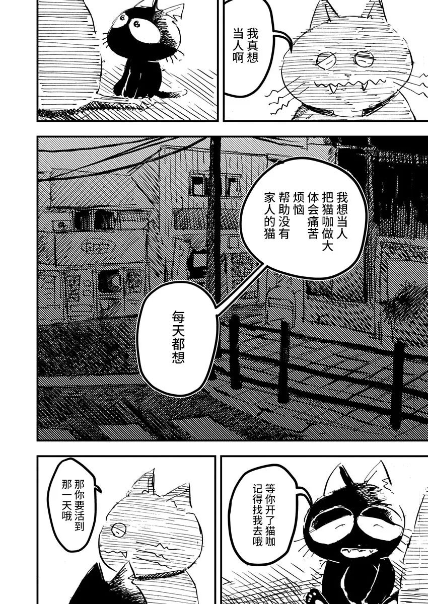 《黑猫小小的一生》漫画最新章节第19话免费下拉式在线观看章节第【18】张图片