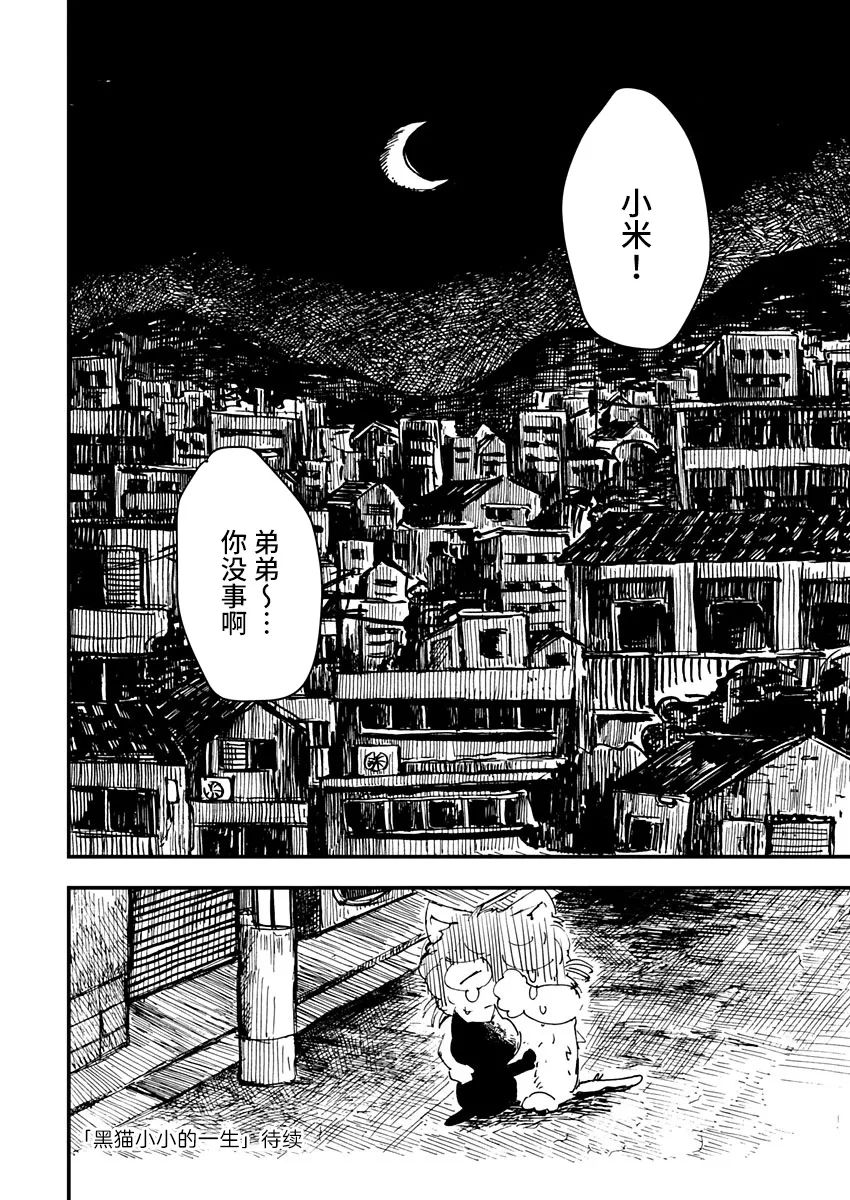 《黑猫小小的一生》漫画最新章节第4话免费下拉式在线观看章节第【20】张图片