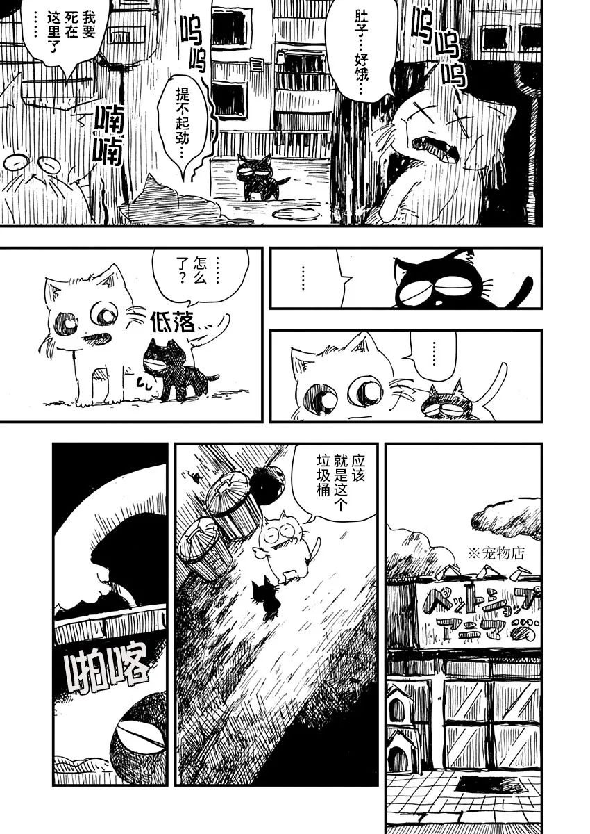 《黑猫小小的一生》漫画最新章节第4话免费下拉式在线观看章节第【3】张图片