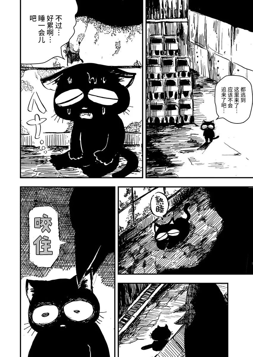 《黑猫小小的一生》漫画最新章节第2话免费下拉式在线观看章节第【10】张图片