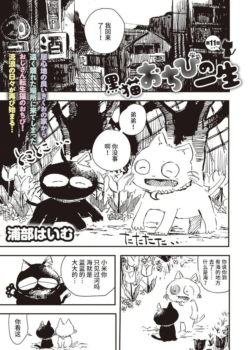 《黑猫小小的一生》漫画最新章节第11话免费下拉式在线观看章节第【1】张图片