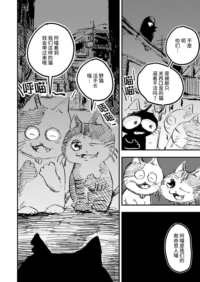 《黑猫小小的一生》漫画最新章节第19话免费下拉式在线观看章节第【12】张图片