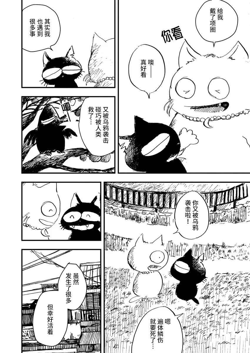 《黑猫小小的一生》漫画最新章节第7话免费下拉式在线观看章节第【10】张图片