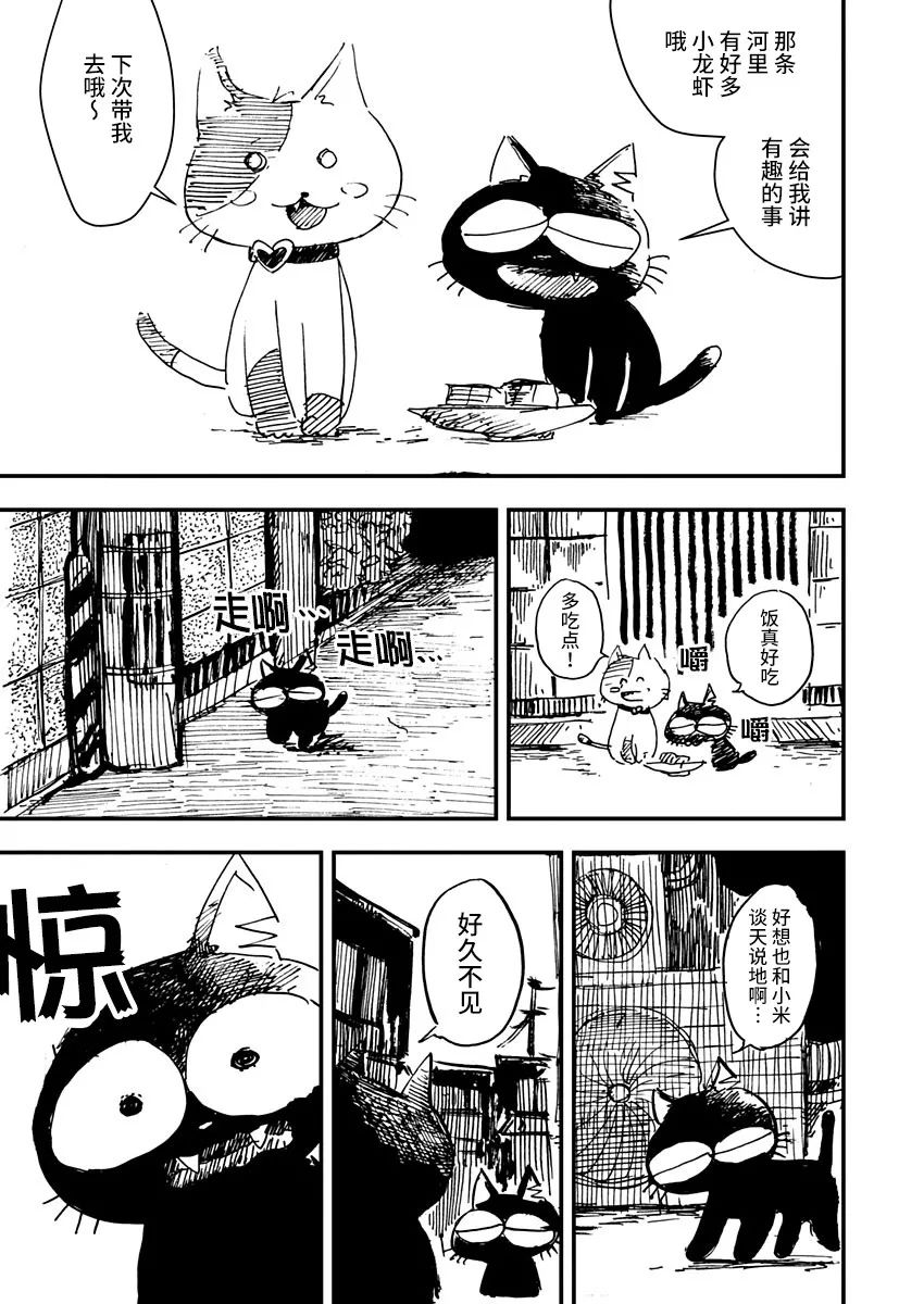 《黑猫小小的一生》漫画最新章节第6话免费下拉式在线观看章节第【5】张图片