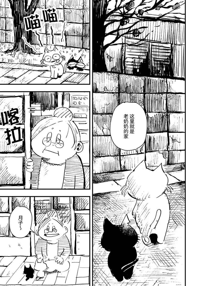 《黑猫小小的一生》漫画最新章节第7话免费下拉式在线观看章节第【11】张图片