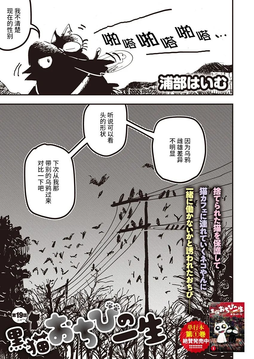 《黑猫小小的一生》漫画最新章节第19话免费下拉式在线观看章节第【3】张图片