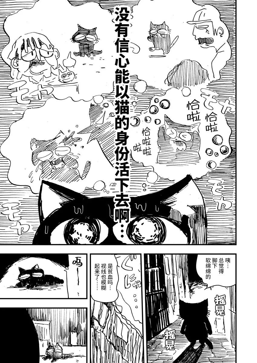 《黑猫小小的一生》漫画最新章节第2话免费下拉式在线观看章节第【13】张图片