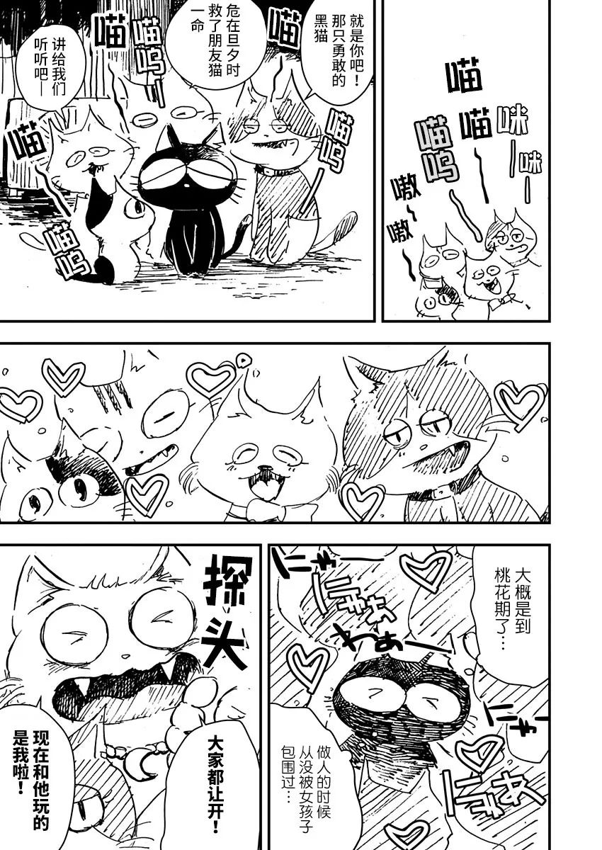 《黑猫小小的一生》漫画最新章节第8话免费下拉式在线观看章节第【3】张图片