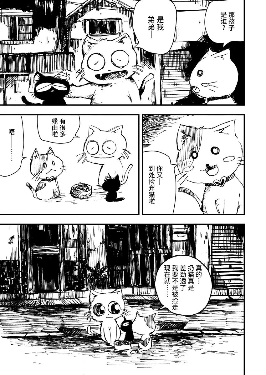 《黑猫小小的一生》漫画最新章节第3话免费下拉式在线观看章节第【11】张图片