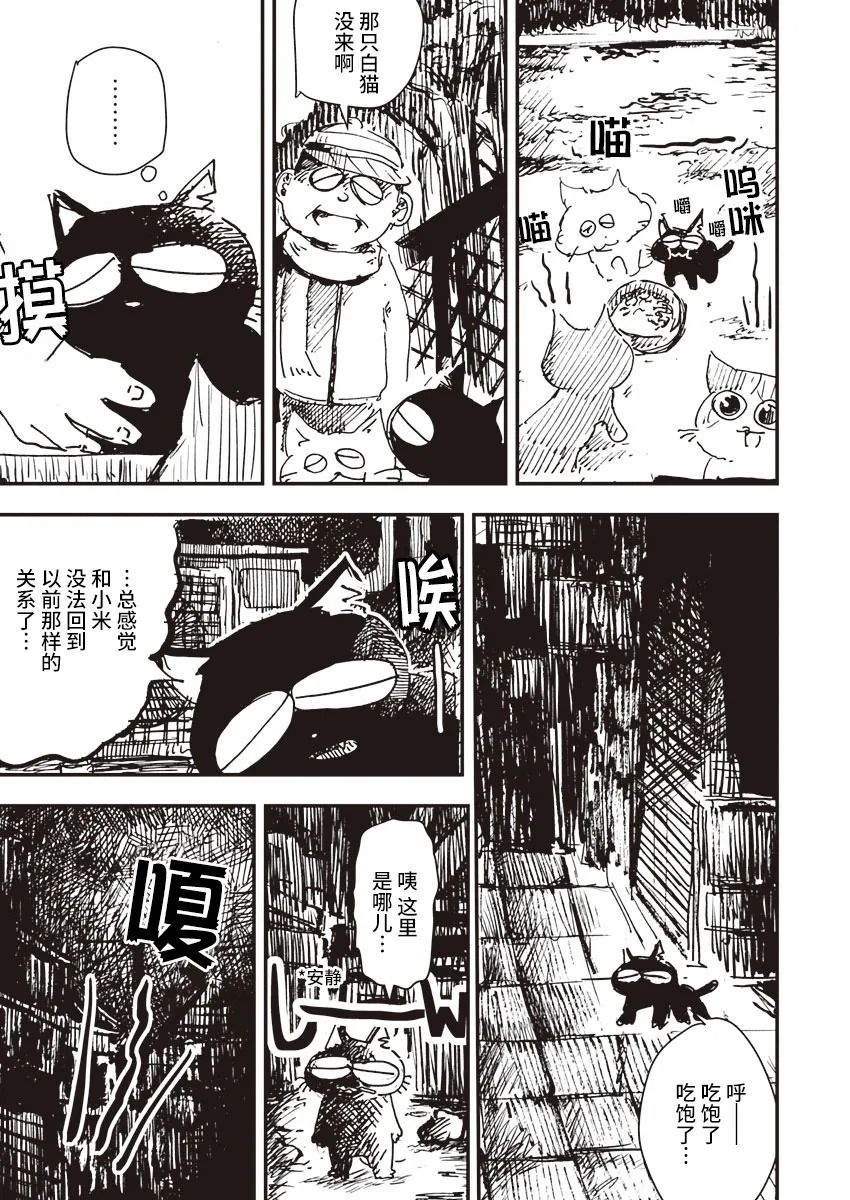 《黑猫小小的一生》漫画最新章节第5话免费下拉式在线观看章节第【5】张图片