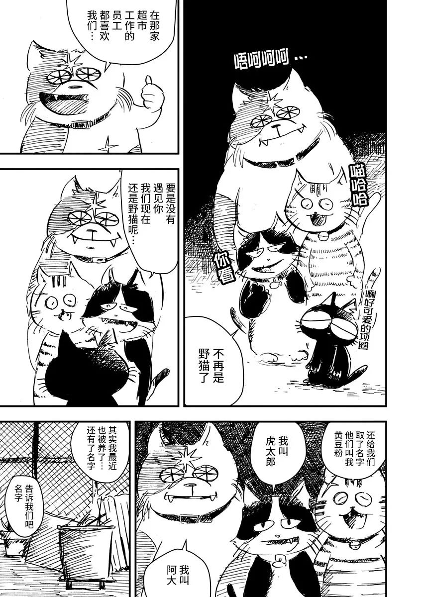 《黑猫小小的一生》漫画最新章节第6话免费下拉式在线观看章节第【7】张图片