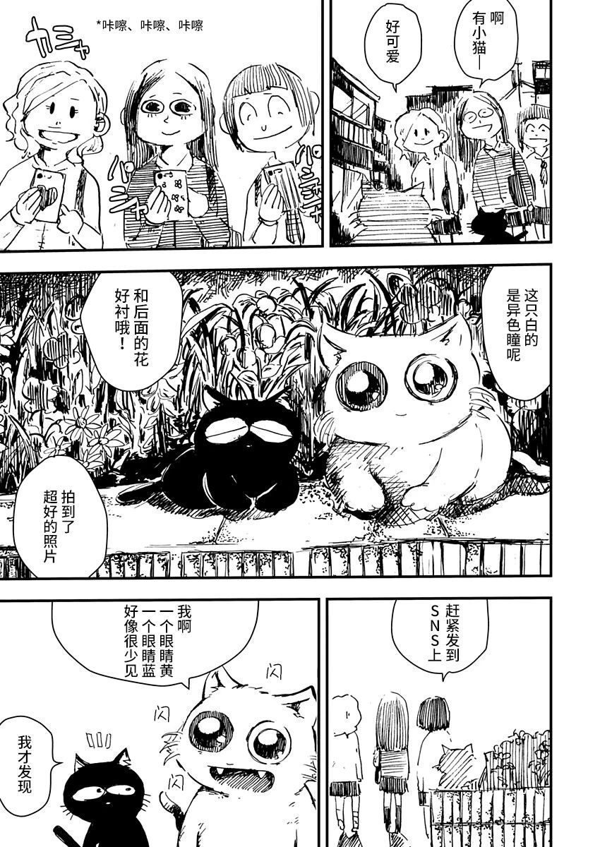 《黑猫小小的一生》漫画最新章节第3话免费下拉式在线观看章节第【13】张图片