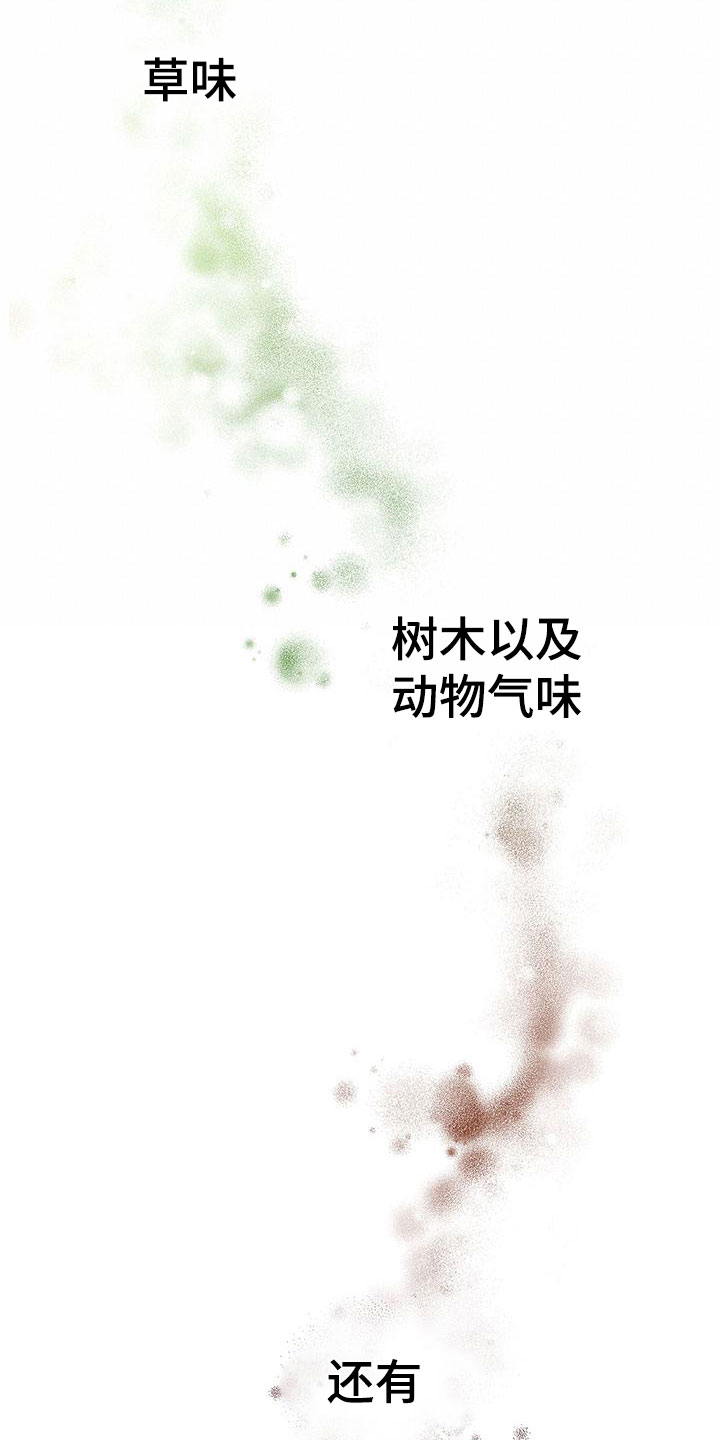 《缺失的记忆》漫画最新章节第2话免费下拉式在线观看章节第【12】张图片