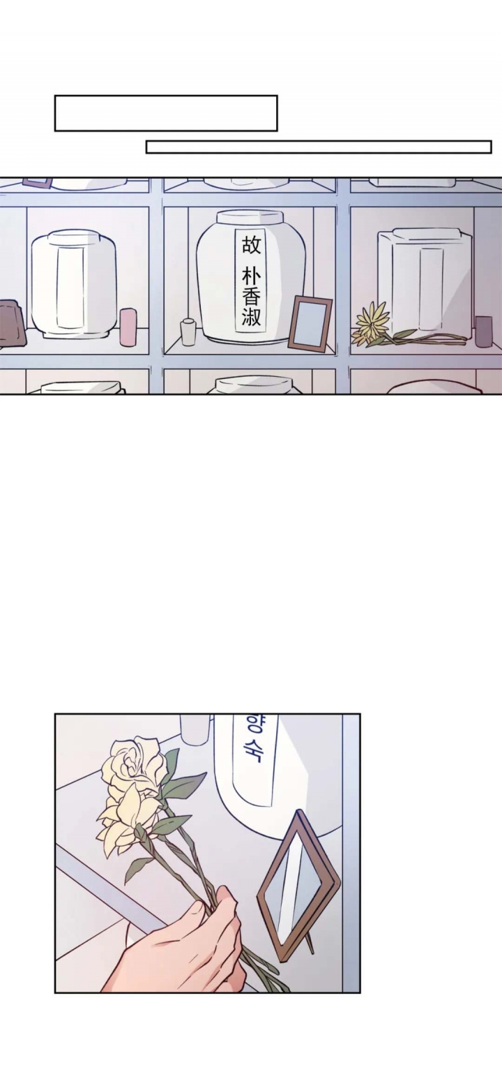 《爱慕计划》漫画最新章节第18话免费下拉式在线观看章节第【5】张图片