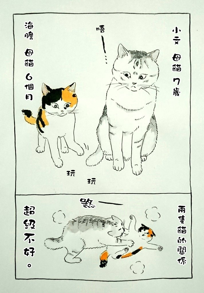 《我曾经巨讨厌猫来的》漫画最新章节第1话免费下拉式在线观看章节第【9】张图片