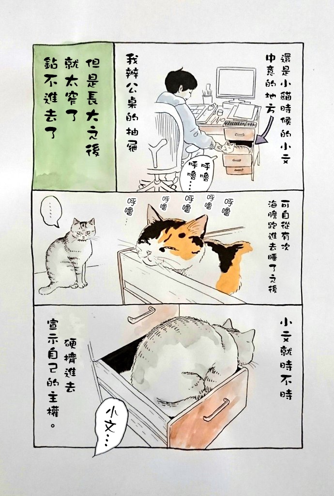 《我曾经巨讨厌猫来的》漫画最新章节第1话免费下拉式在线观看章节第【12】张图片