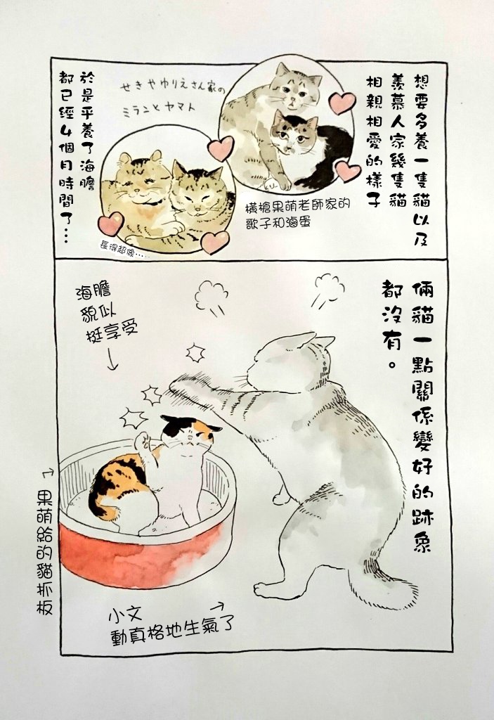 《我曾经巨讨厌猫来的》漫画最新章节第1话免费下拉式在线观看章节第【11】张图片